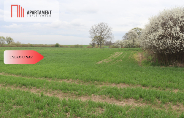 Działka rolna 0,95 ha/Wilków Średzki/Dobry dojazd