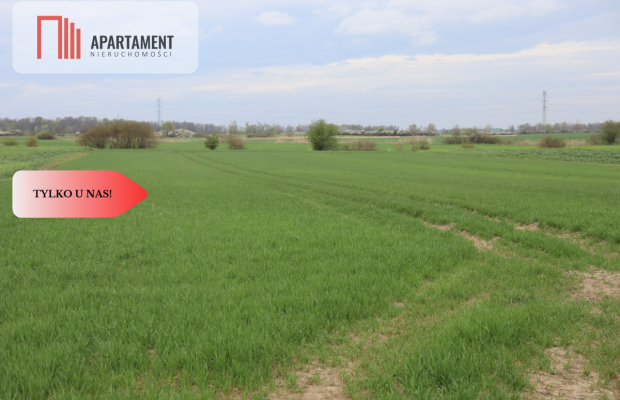 Działka rolna 0,95 ha/Wilków Średzki/Dobry dojazd