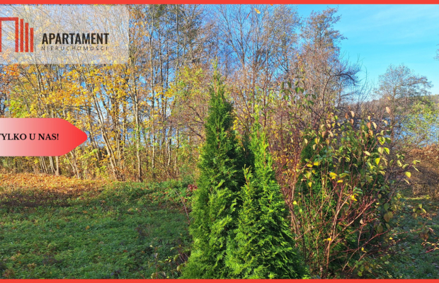 Pięknie położona działka przy jeziorze- Dobiegniew