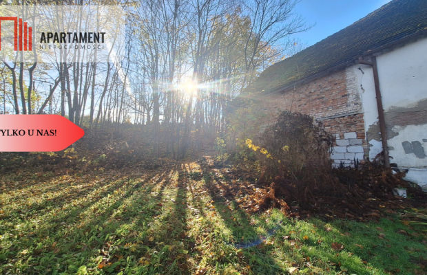 Pięknie położona działka przy jeziorze- Dobiegniew