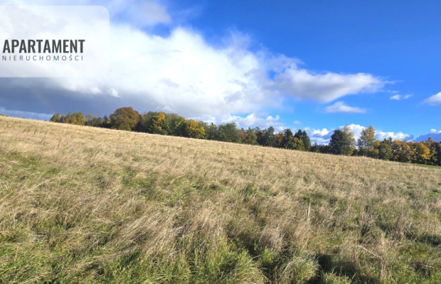 Działki budowlane w Gołębiewie Wielkim