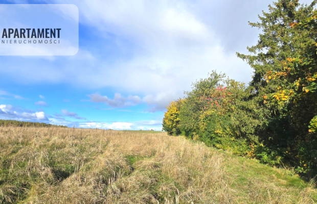 Działki budowlane w Gołębiewie Wielkim