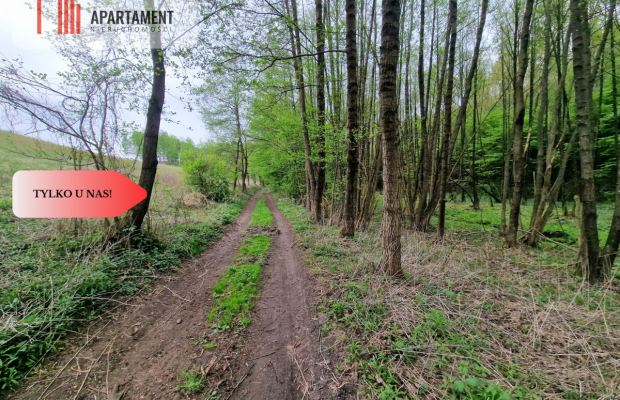 Gospodarstwo w głuszy! Las! Rzeka!