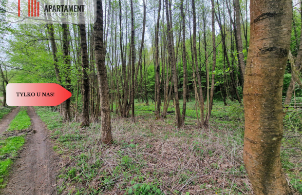 Gospodarstwo w głuszy! Las! Rzeka!