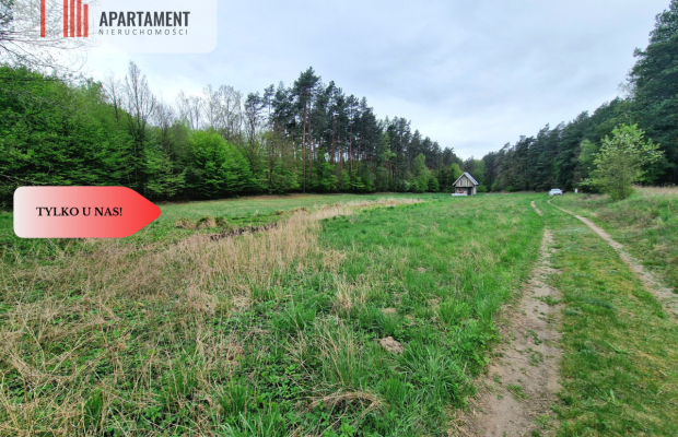 Gospodarstwo w głuszy! Las! Rzeka!