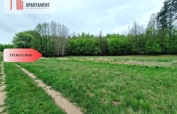 Gospodarstwo w głuszy! Las! Rzeka!