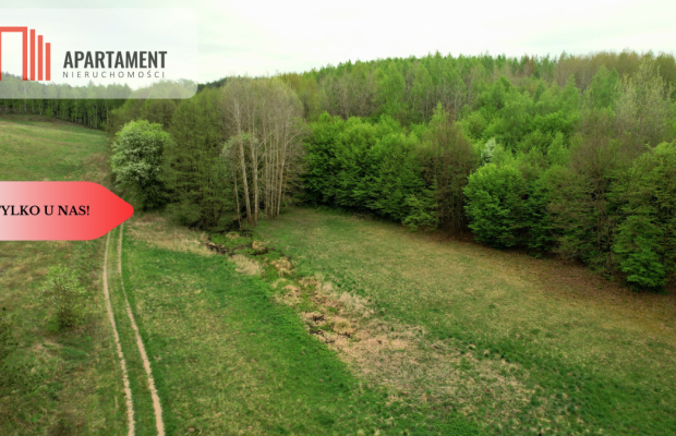 Gospodarstwo w głuszy! Las! Rzeka!