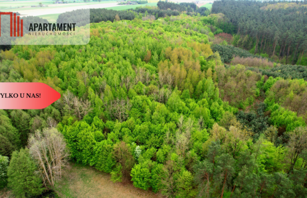 Gospodarstwo w głuszy! Las! Rzeka!