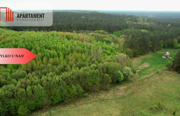 Gospodarstwo w głuszy! Las! Rzeka!