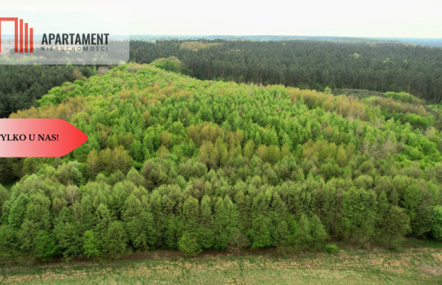 Gospodarstwo w głuszy! Las! Rzeka!