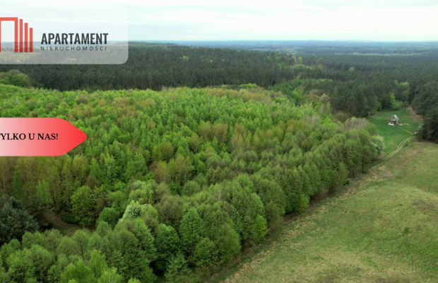 Gospodarstwo w głuszy! Las! Rzeka!