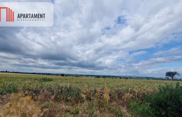 Działki MPZP w Żninie.