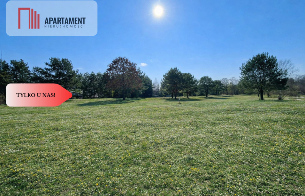 Działka rekreacyjna blisko lasu i jeziora