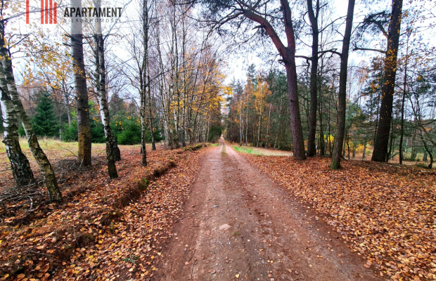 Działka rekreacyjna z dużym potencjałem!!!!
