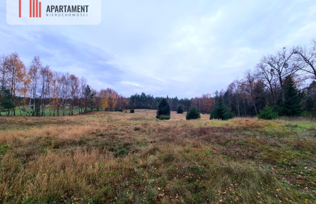 Działka rekreacyjna z dużym potencjałem!!!!