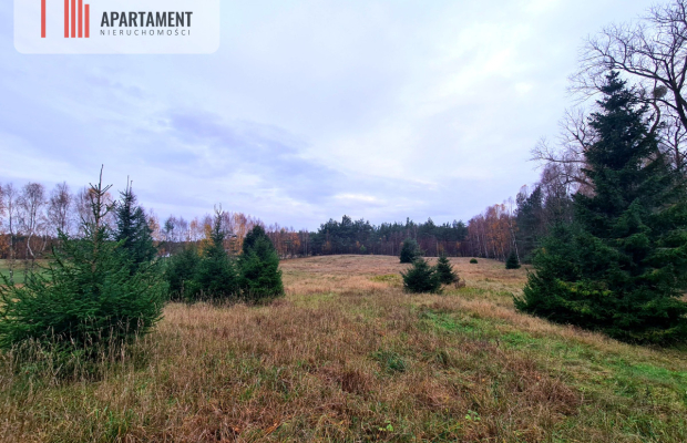 Działka rekreacyjna z dużym potencjałem!!!!