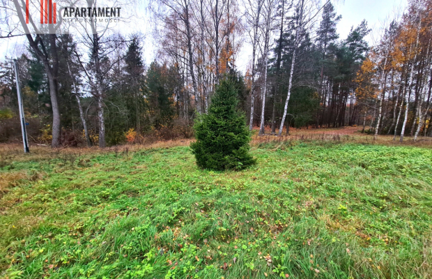 Działka rekreacyjna z dużym potencjałem!!!!