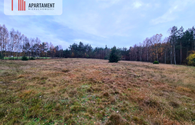 Działka rekreacyjna z dużym potencjałem!!!!