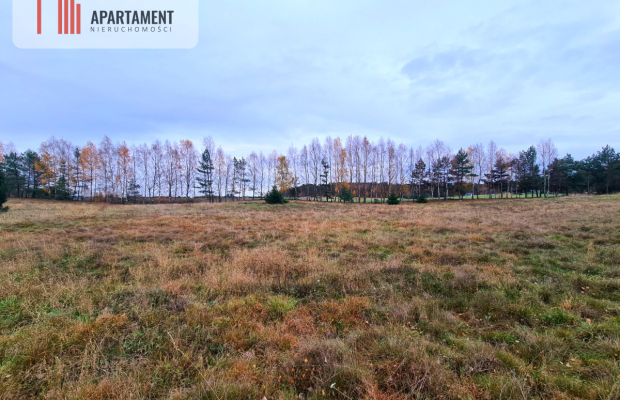Działka rekreacyjna z dużym potencjałem!!!!