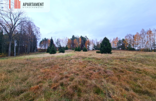 Działka rekreacyjna z dużym potencjałem!!!!