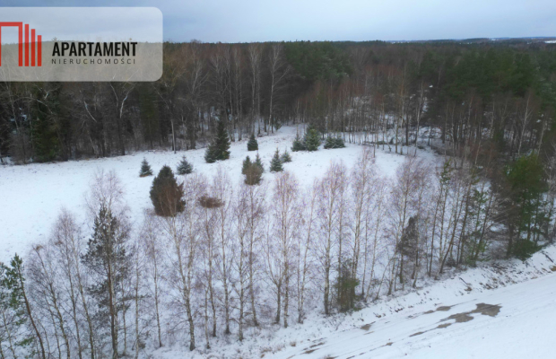 Działka rekreacyjna z dużym potencjałem!!!!