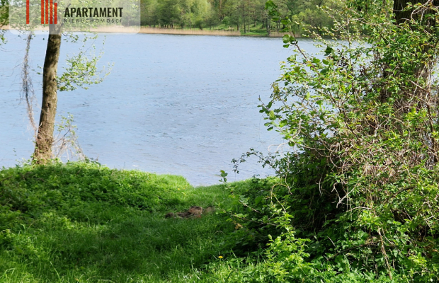 Działki z linią brzegową jeziora