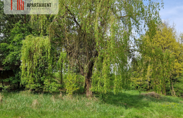 Działki z linią brzegową jeziora