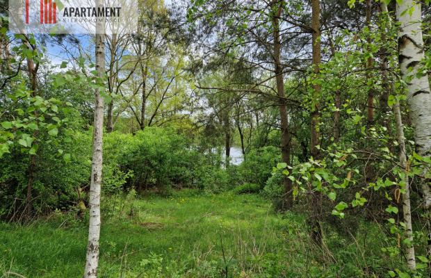 Działki z linią brzegową jeziora