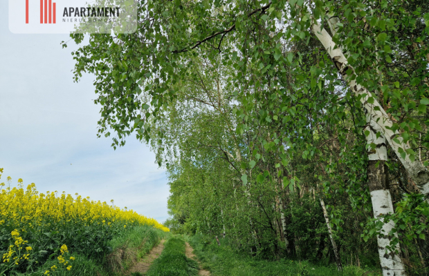 Działki z linią brzegową jeziora
