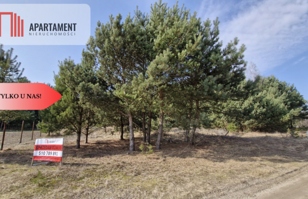 Bory Tucholskie – działka 1195 mkw pod budowę domu