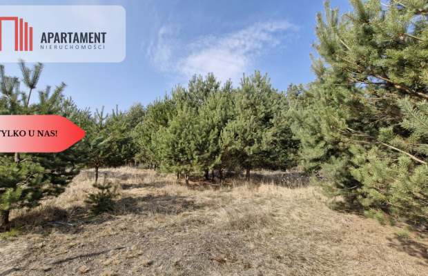 Bory Tucholskie – działka 1195 mkw pod budowę domu