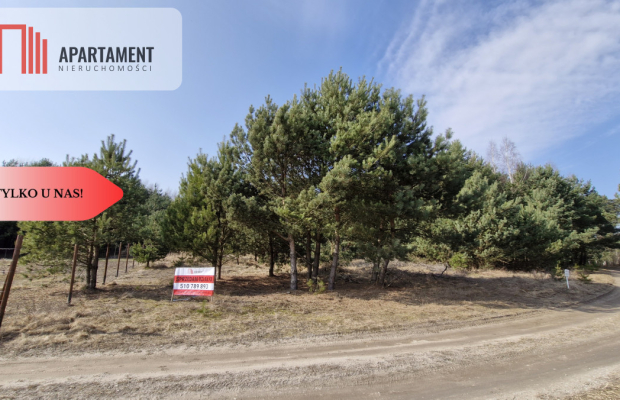 Bory Tucholskie – działka 1195 mkw pod budowę domu