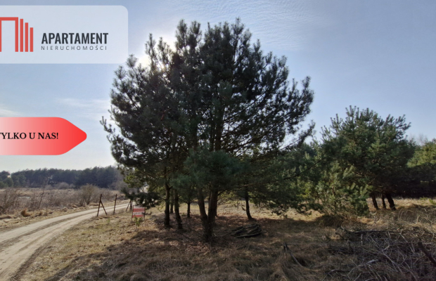 Bory Tucholskie – działka 1195 mkw pod budowę domu