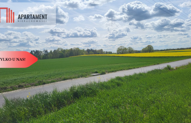 Działki Rolne Śmielin