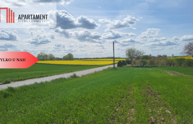 Działki Rolne Śmielin