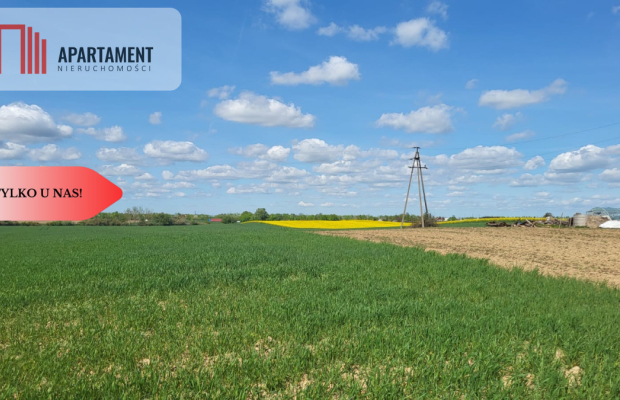 Działki Rolne Śmielin