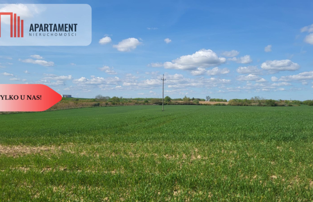 Działki Rolne Śmielin