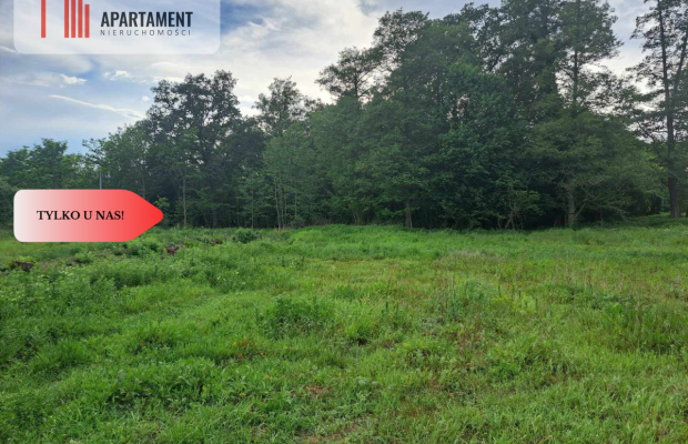 Działka z widokim na las 35 km od Wrocławia!