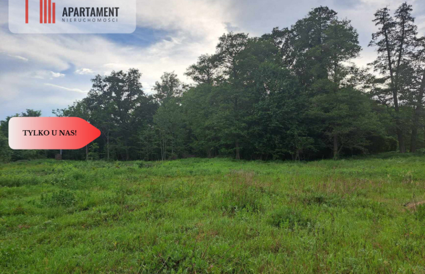 Działka z widokim na las 35 km od Wrocławia!