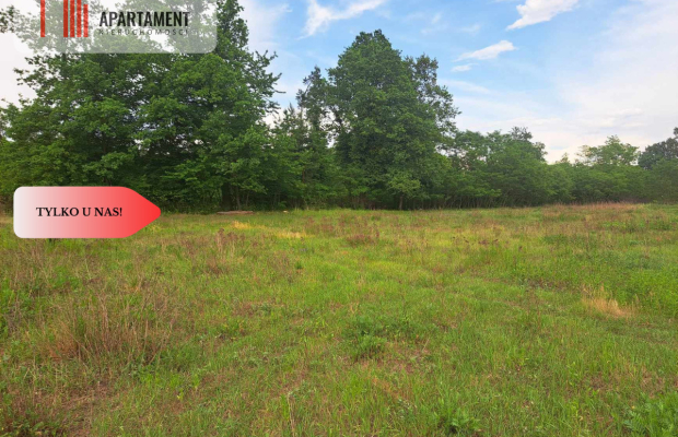 Działka z widokim na las 35 km od Wrocławia!