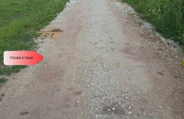 Działka z widokim na las 35 km od Wrocławia!