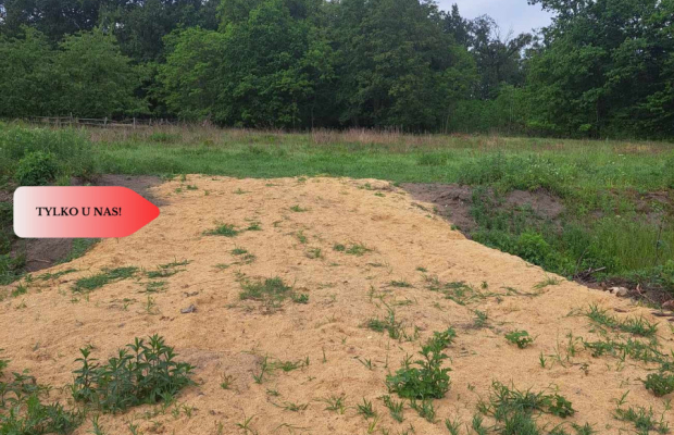 Działka z widokim na las 35 km od Wrocławia!