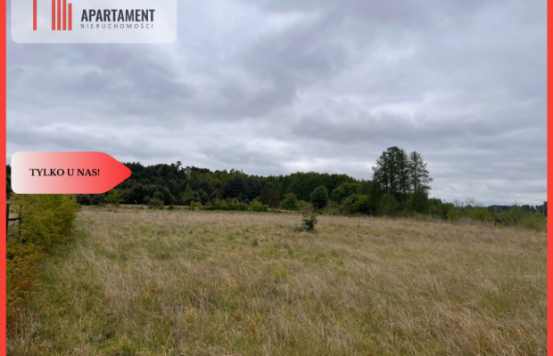 *Działka 1000m2 z WZ