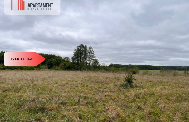 *Działka 1000m2 z WZ