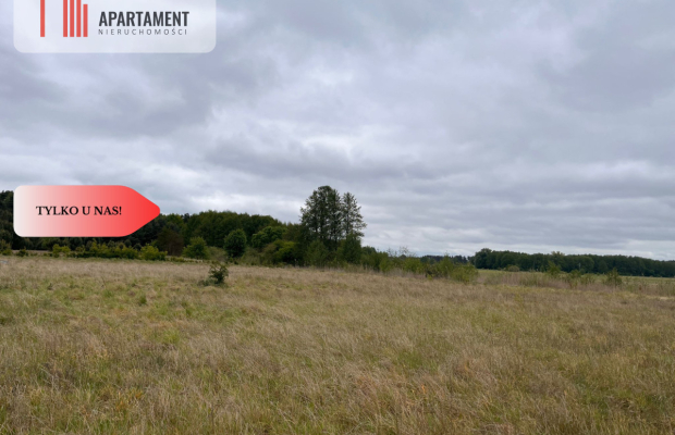 *Działka 1000m2 z WZ