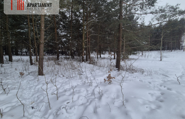 Działka budowlana w  Boroszewie