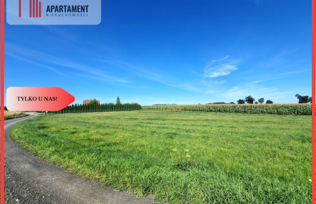 TYLKO U NAS! DUŻA DZIAŁKA Z  WZ! DOM DO 250m2!