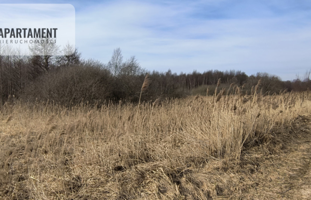 Działka 8000 m² na Kaszubach - Niedamowo