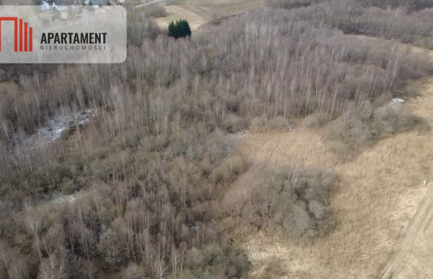 Działka 8000 m² na Kaszubach - Niedamowo