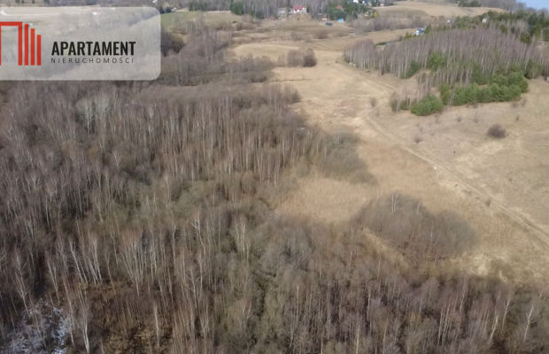 Działka 8000 m² na Kaszubach - Niedamowo